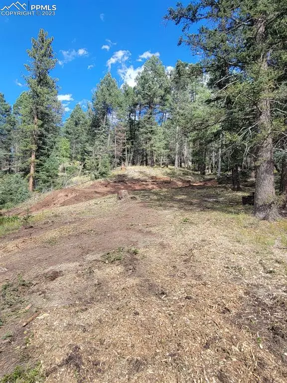 Florissant, CO 80816,730 Spring Valley LN