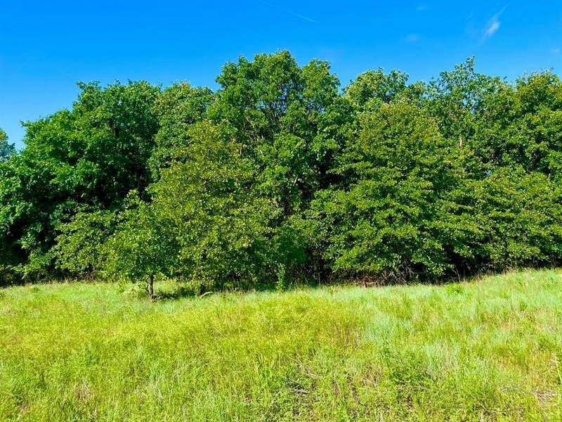 Lot 52 Wicklow Ct, Poolville, TX 76487