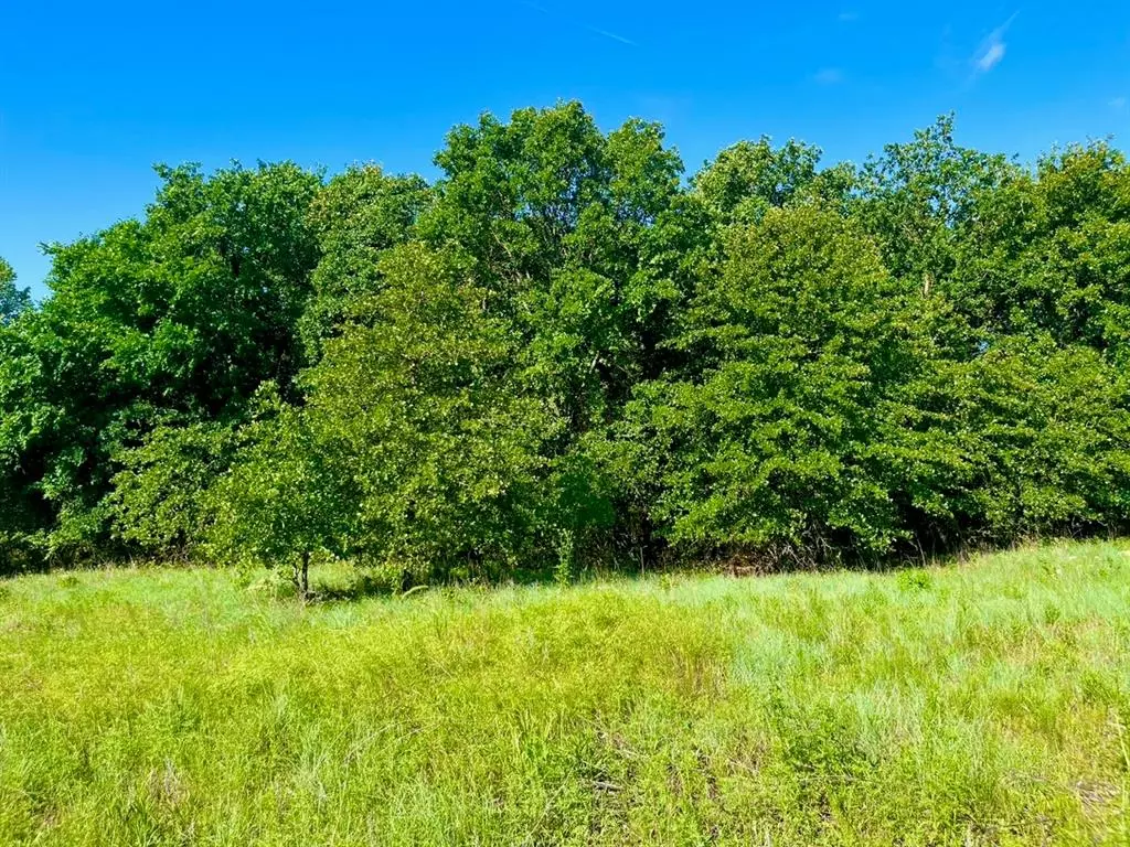 Poolville, TX 76487,Lot 52 Wicklow Ct