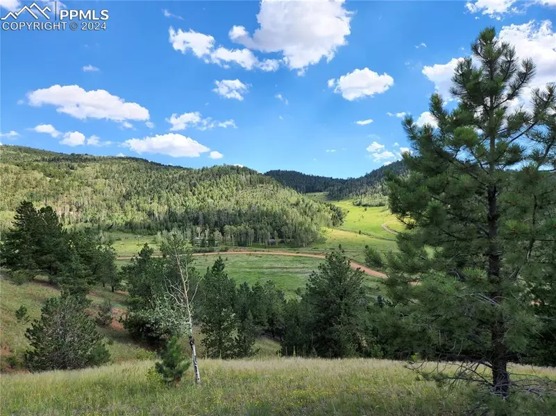 770 Copper Mountain DR, Cripple Creek, CO 80813