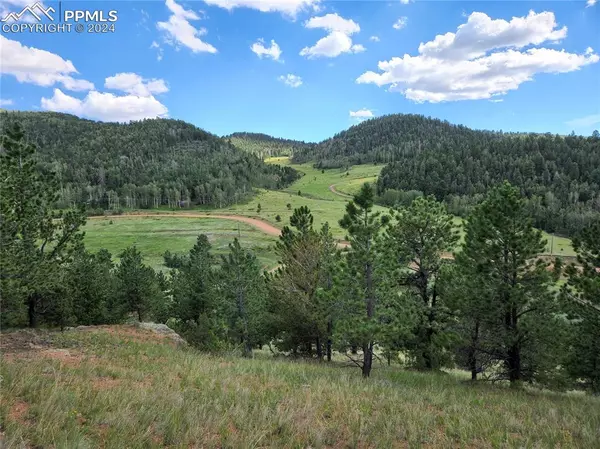 Cripple Creek, CO 80813,770 Copper Mountain DR