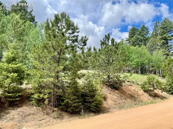 Florissant, CO 80816,475 Pinon LN