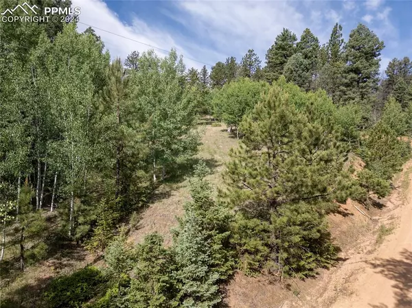 Florissant, CO 80816,475 Pinon LN