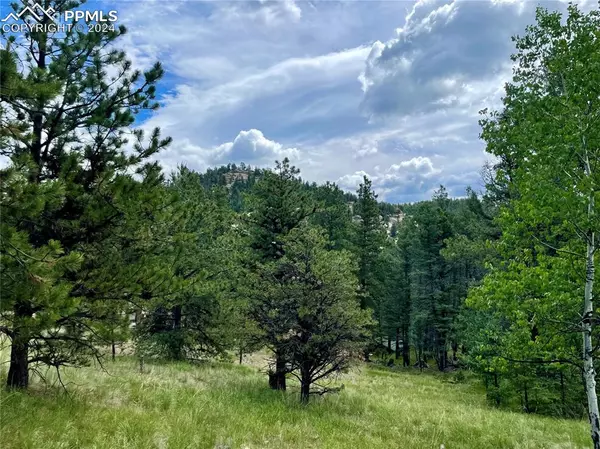 Florissant, CO 80816,475 Pinon LN