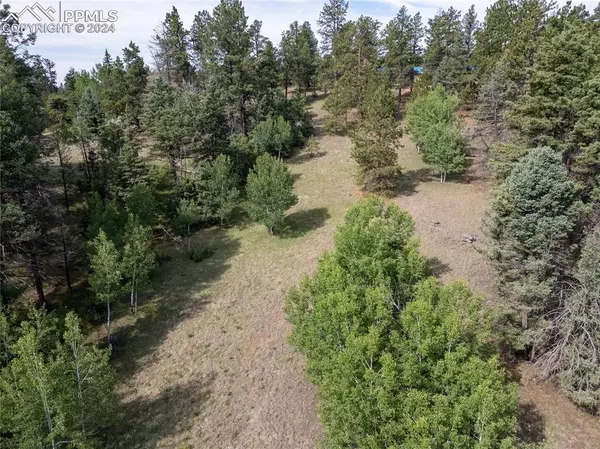 Florissant, CO 80816,453 Pinon LN