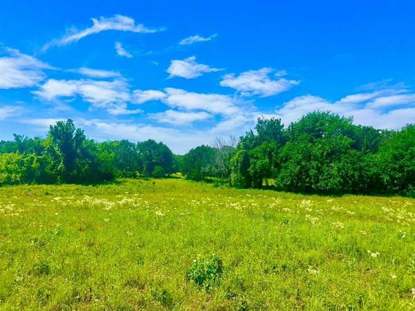 Lot 99 Arlow Road, Poolville, TX 76487