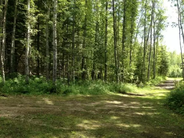 Wandering River, AB T0A 3M0,165052 Twp. Rd. 714 Township #40