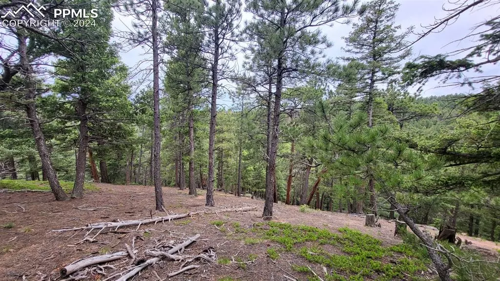 2255 Elk Park RD, Larkspur, CO 80118