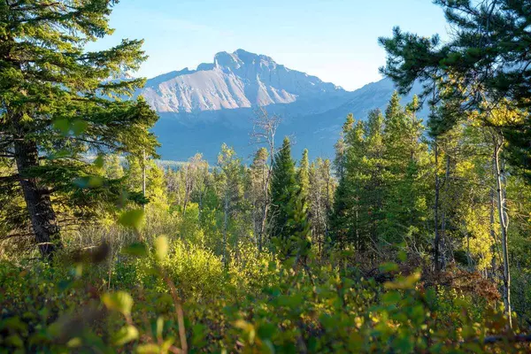 Rural Crowsnest Pass, AB T0K 0M0,3071 Tecumseh RD