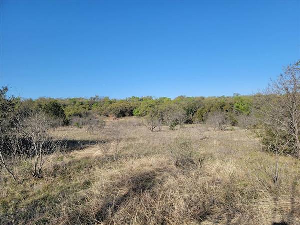 TBD Carie Drive, Brownwood, TX 76801