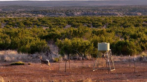 Childress, TX 79201,TBD County Road 13