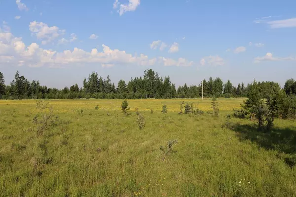 Rural Yellowhead County, AB T0E 2M0,NE - 16-53-11 W5 Range Road 113