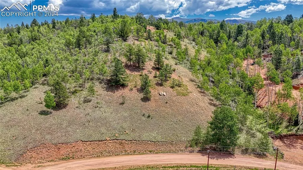 348 Granite LN, Cripple Creek, CO 80813