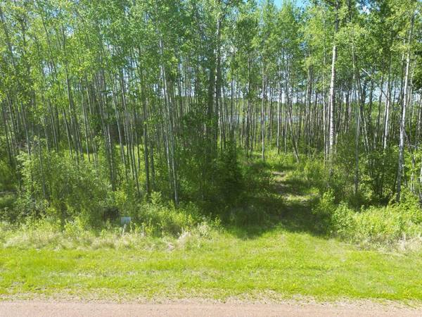 6 Branch Lake, Loon Lake, SK S0M 1L0