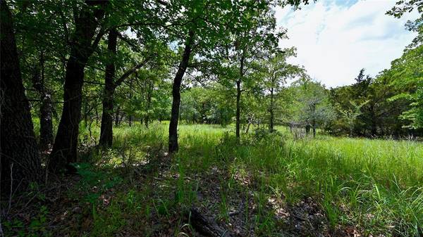 Lot 169 Post Oak Cove, Sunset, TX 76270