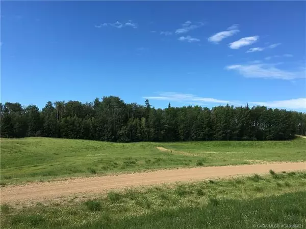 Rural Ponoka County, AB T0C 2J0,13033 Township Road 424 #Lot 10