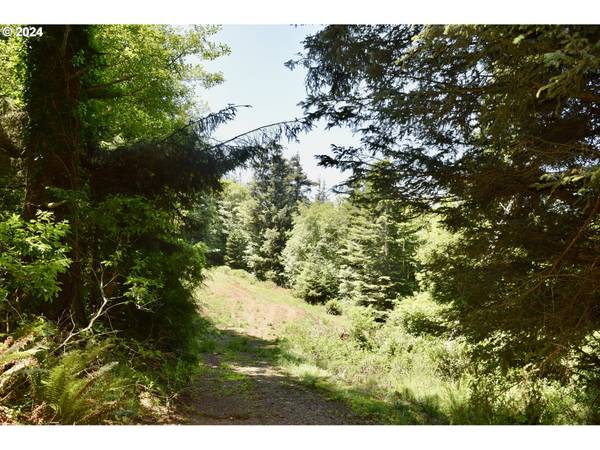 Gold Beach, OR 97444,Hwy 101