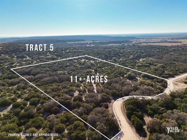 Tract 9 Red Oak Rd., Ovalo, TX 79541