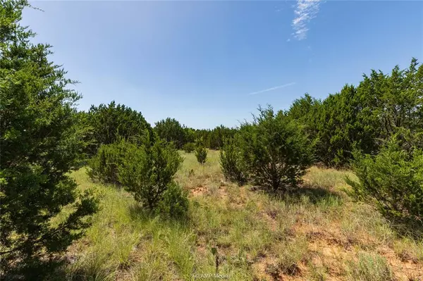 Tuscola, TX 79562,TBD CR 150