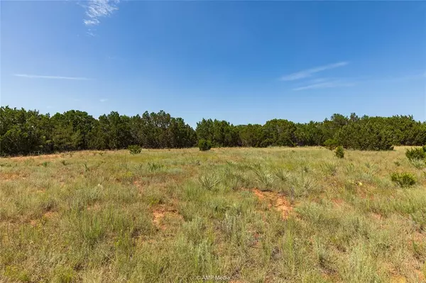 Tuscola, TX 79562,TBD CR 150