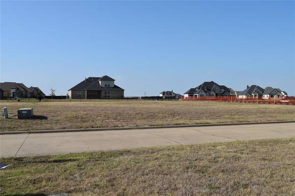 1041 Bent Tree Lane, Gunter, TX 75058