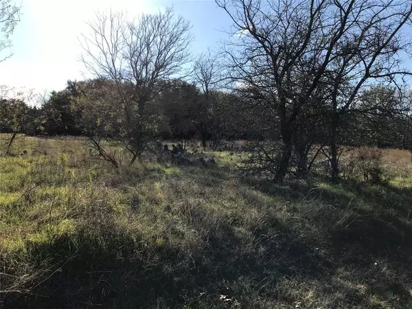 Whitney, TX 76692,1414 Lakeside Trail