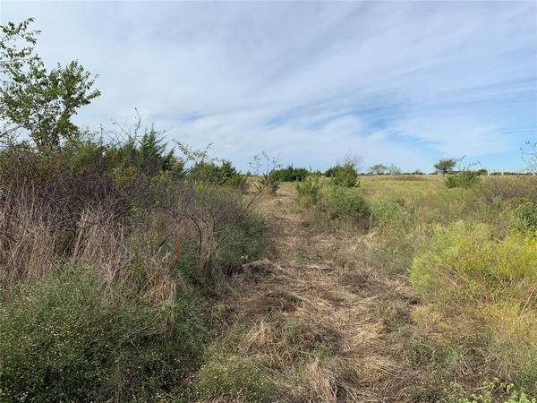 Lot 3 West Trail Lane, Cleburne, TX 76033