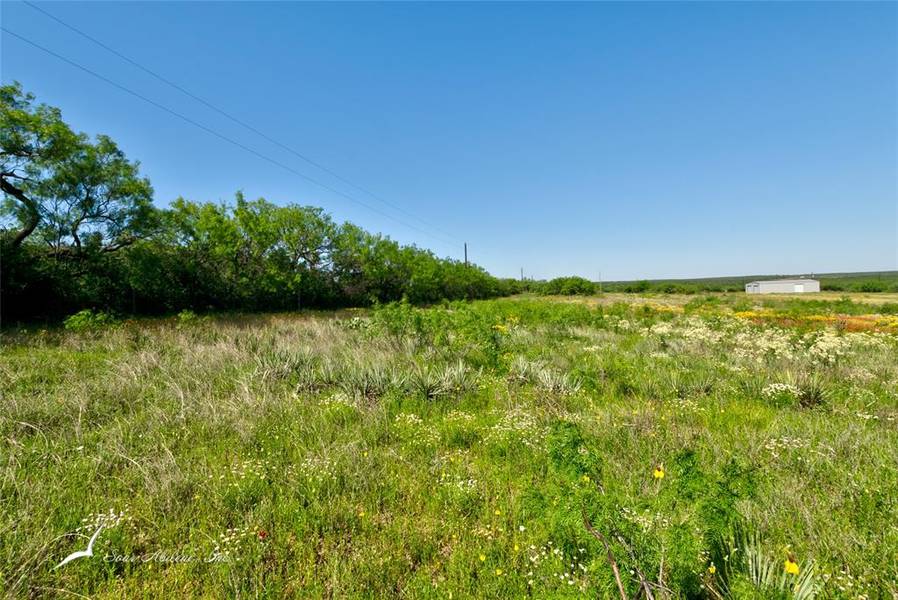 TBD (Tract 3) CR 214, Sweetwater, TX 79556