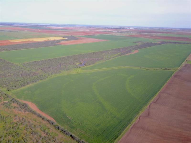 541.7 Acres CR 427, Rule, TX 79547