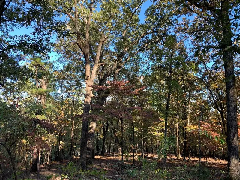 Lot 26 Little Creek Lane, Broken Bow, OK 74728