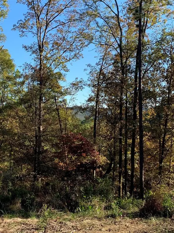 Broken Bow, OK 74728,Lot 25 Split Creek