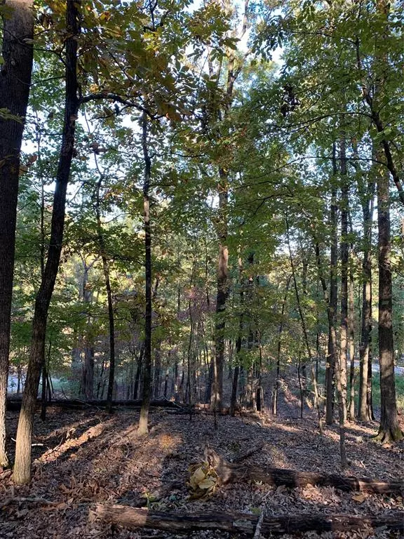 Broken Bow, OK 74728,Lot 30 Little Creek Lane