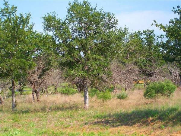 Lot 86 Canyon Wren Loop, Possum Kingdom Lake, TX 76449