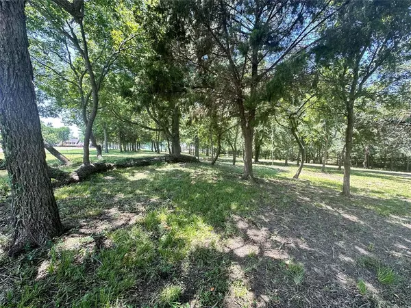 Kerens, TX 75144,Lot 45R Bayview Drive