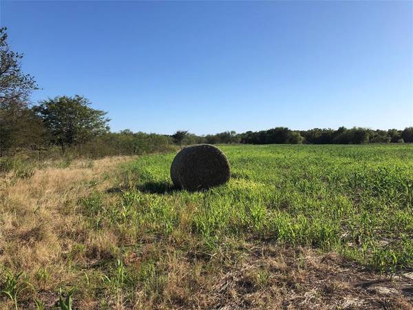 TBD Hazelwood/Logston Road, Sherman, TX 75092