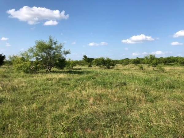 TBD CR 206, Grandview, TX 76050