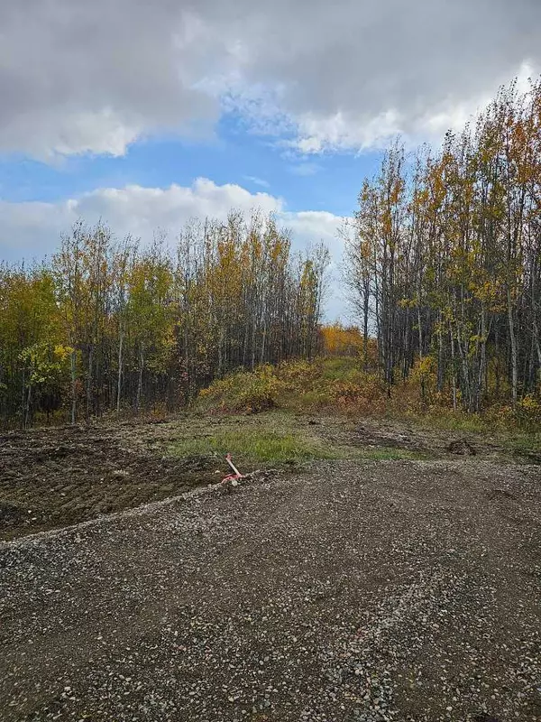 Rimbey, AB T0C 2J0,Lot 13 Range Road 14