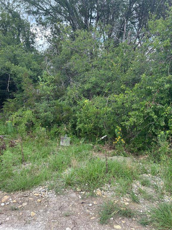 5511 Cold Water Trail,  Granbury,  TX 76048