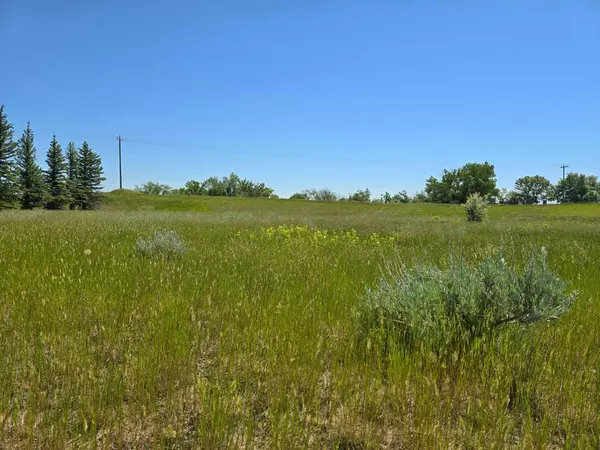 Rural Lethbridge County, AB T1K 8G5,RR 215