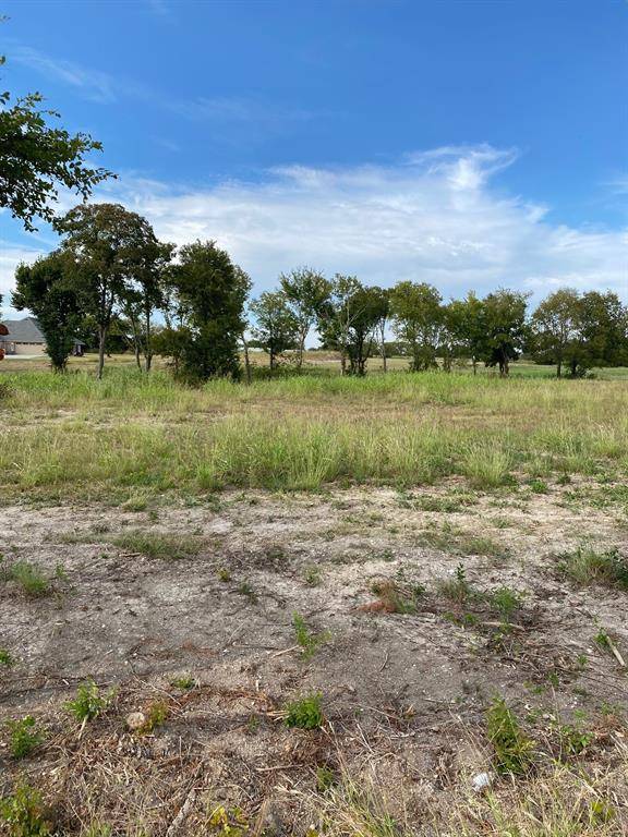 TBD Wortham Road, Tom Bean, TX 75489