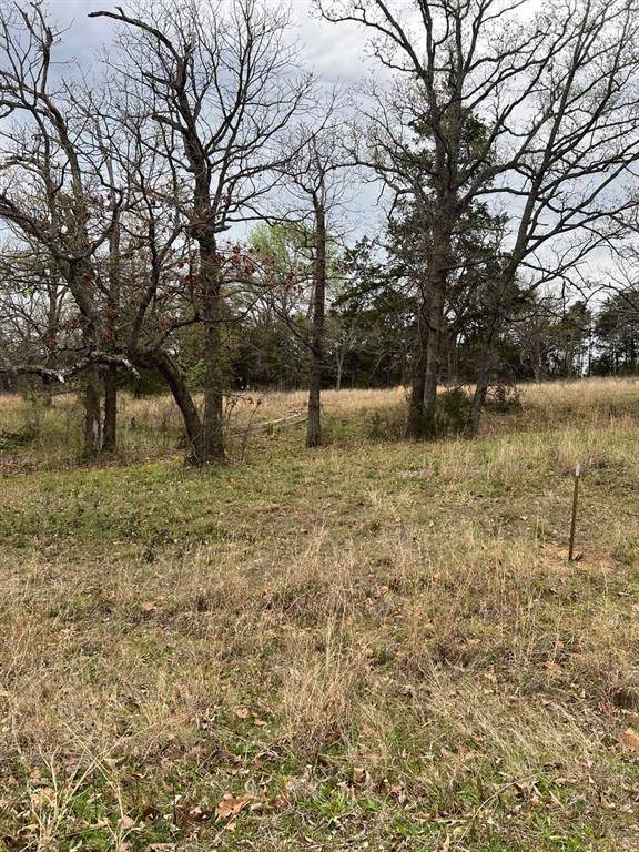 19668 Dove Ridge Drive, Lindale, TX 75771