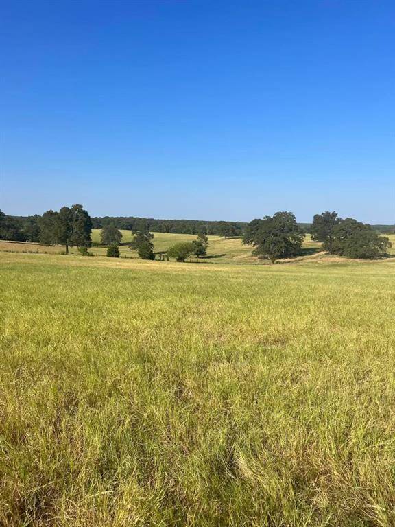 Troup, TX 75789,TBD CR 3812 (Tract 6)