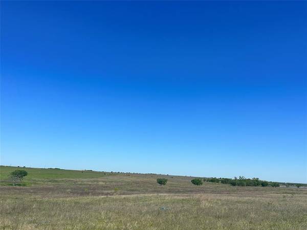 TBD County Road 3221, Penelope, TX 76676