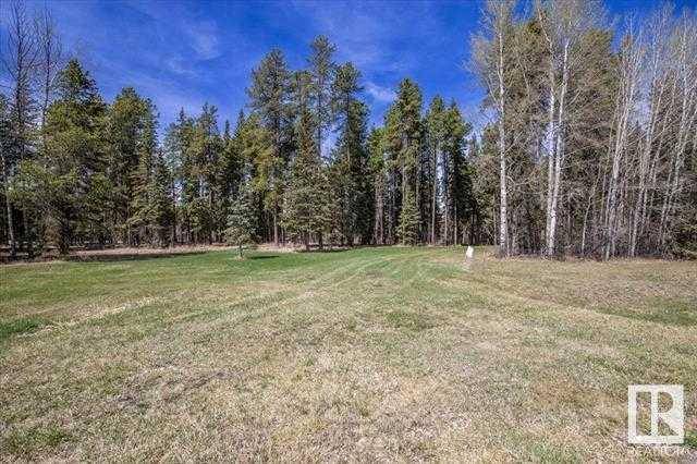 Buck Lake, AB T0C 0T0,Lot #1, 465011 Rge Rd 64