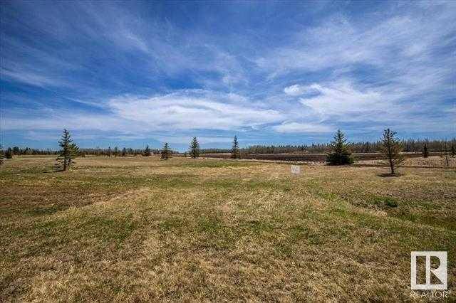 Buck Lake, AB T0C 0T0,Lot #8, 456011 Rge Rd 64