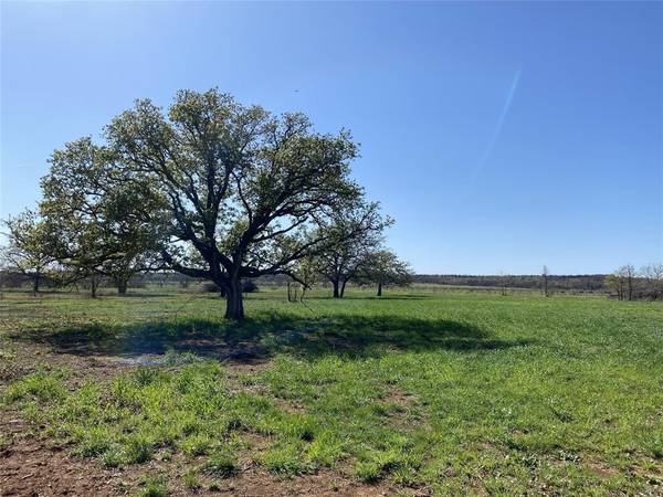 TRACT 3 Co Road 323, Carbon, TX 76435