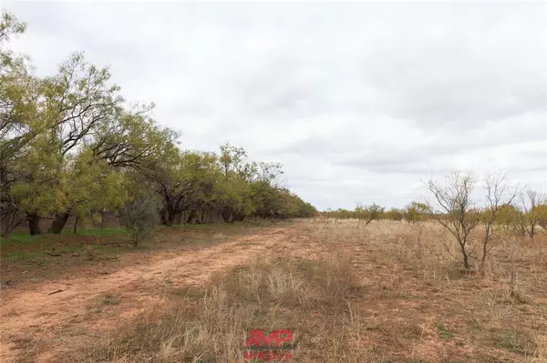 Merkel, TX 79536,TBD CR 379