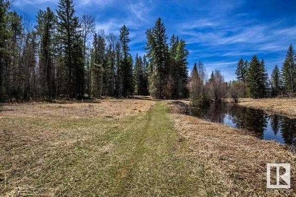 Buck Lake, AB T0C 0T0,Lot #1, 465011 Rge Rd 64