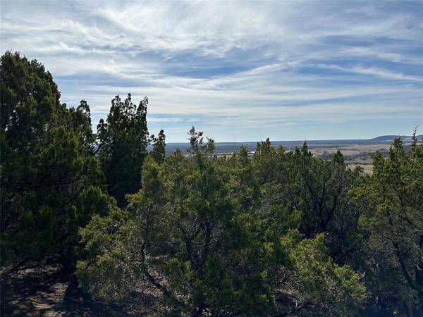 Possum Kingdom Lake, TX 76449,Lot 144 South Canyon Wren