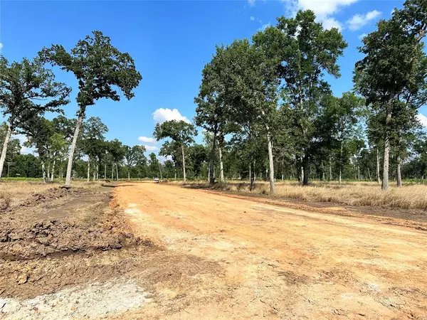 Livingston, TX 77351,Lot 35 Island View Ranch Estates